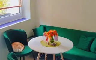 Pojďme dát kočičkám druhou šanci, obnovme kočičí kavárnu café & bar Šťastné tlapky