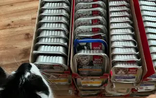 Prosba o příspěvek na nákup krmiva a steliva pro kočičky z Píšánku