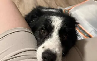 Operace kolene pro Meggie