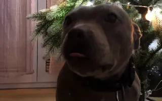 Pomoc pro tři statečné a úžasné děti a jejich maminku