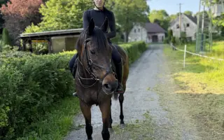 Zachraňme Elyho světlo: Operace očí mu vrátí život bez bolesti