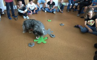 Canisterapie CANTES v krajích ČR jako sociální rehabilitace