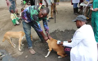 Kastrační mise v Tanzanii / Spay & Neuter Campaign in Tanzania