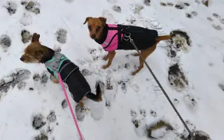 Pomozme zachovat Dvůr poslední šance