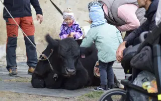 My zachraňujeme zvířata, ony mohou pomáhat Vám a Vašim blízkým