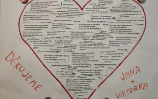 Tatínek se už nevrátil domů – pomozme Viki a její mamince postavit se znovu na nohy