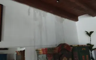 Zachraňme střechu Nadace Josefa Plívy