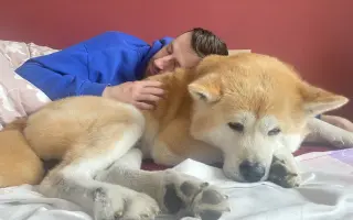 Prosba o pomoc pro našeho milovaného Ririshiiho, který bojuje se zákeřnou nemocí