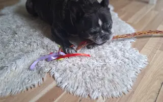 10 let nestačí – pomozme Mailovi dál❤️