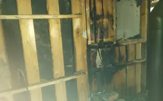 Prosba o pomoc samoživitelce po požáru našeho domova