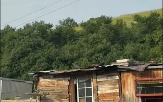 Záchrana pro psy ze slovenských osad 🩷