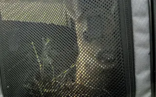 Zachraňme kokořínská srnčata