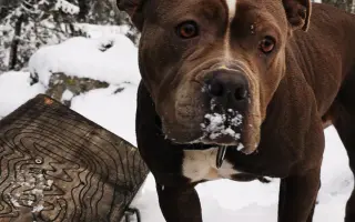 Pomozme Ele opět poznávat svět