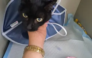 Úžasná Rozinka, která celý život pomáhala, nyní sama potřebuje pomoc