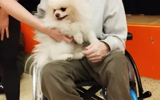 Větší auto pro Tomáše a Jakuba