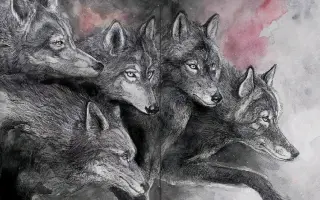 Metanoia - vizuální kniha