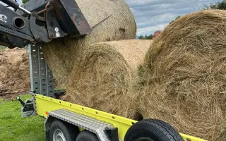Sucho vypálilo pastviny. Zachráněná zvířata potřebují seno.