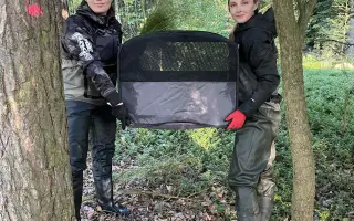 Dron s termovizí na záchranu srnčat při sečích na Chebsku.
