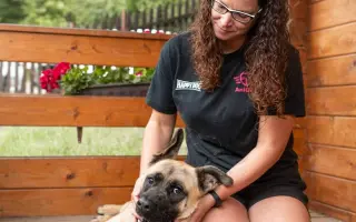 Konec Bouchalky a nový začátek: stavíme útulek!