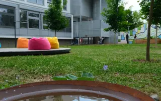 Nadace Archa Chantal pro děti ve FN Brno, Psychiatrická Klinika