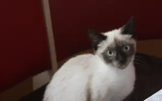 Příběh Jeníčka a Mařenky