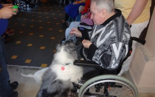 Canisterapie CANTES v krajích ČR jako sociální rehabilitace