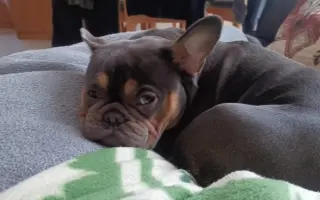 Pomozte Jasmínce běhat bez bolesti ❤️