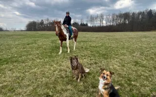 Pomozme Sourince uzdravit se a znovu pomáhat dětem ❤️