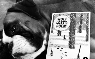 Wolf Lost in the Poem - Indigem /nové album věnované básnířkám z CZ/