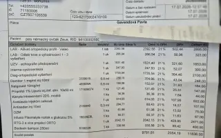 Pomohli jste Zeusovi znovu chodit