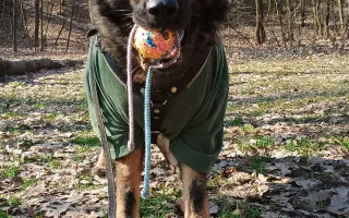 Pomoc Furině v boji s lupusem (SLE)