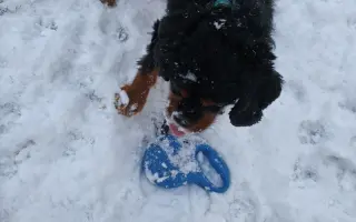 Automobil pro Martina s omezenou hybností