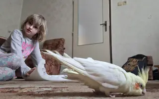 Kristýna potřebuje zajistit nezbytné opravy domu