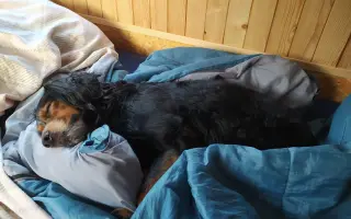 Shamy bouje s bolestí. Pomozme jí prožít stáří důstojně