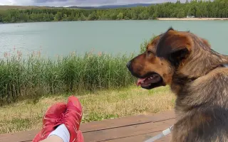 Z nuly zpět za hledáček - aneb nový začátek po velkém pádu