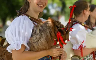 Podpořte nahrávání alba Malé tejnské dudácké muziky!