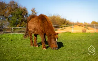 Pomůžete nám naplnit bříška hospodářským zvířátkům