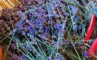 Podpořte bylinkový projekt Azeret Herbs