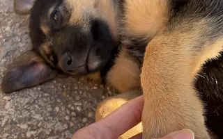 Objevte, co všechno se může stát na cestách – kniha Cestuj s Veru