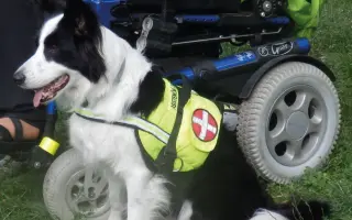 Pomozte s vybavením pro Nadační fond Canisterapie