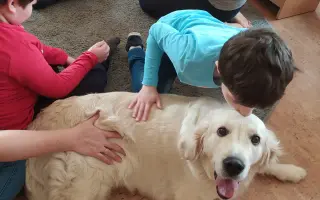 Jemné tlapky pro děti se zdravotním postižením