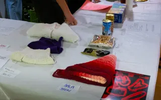 Podpořte uskutečnění benefičního maturitního projektu Umělci v srdci