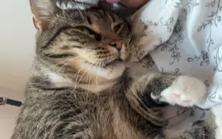 Dvacetiletá Lucka s nádorem mozku chce dál žít a smát se