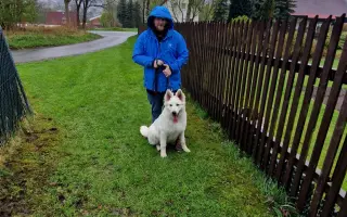 Z nuly zpět za hledáček - aneb nový začátek po velkém pádu