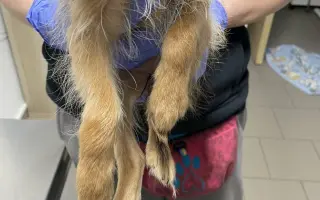 Lepší život pro Katie