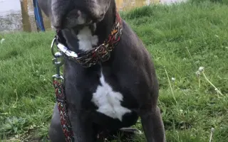 Sheilinka už dvakrát vyhrála. Pomozme jí bojovat potřetí.