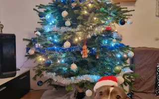 Pomozme Ele opět poznávat svět