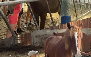 Pomozme Denise být mámou i v nemoci