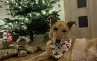 Pomozme společně Báře zachránit jejího nejlepšího přítele