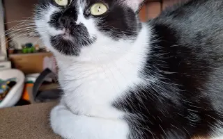 8 nalezených Lásek